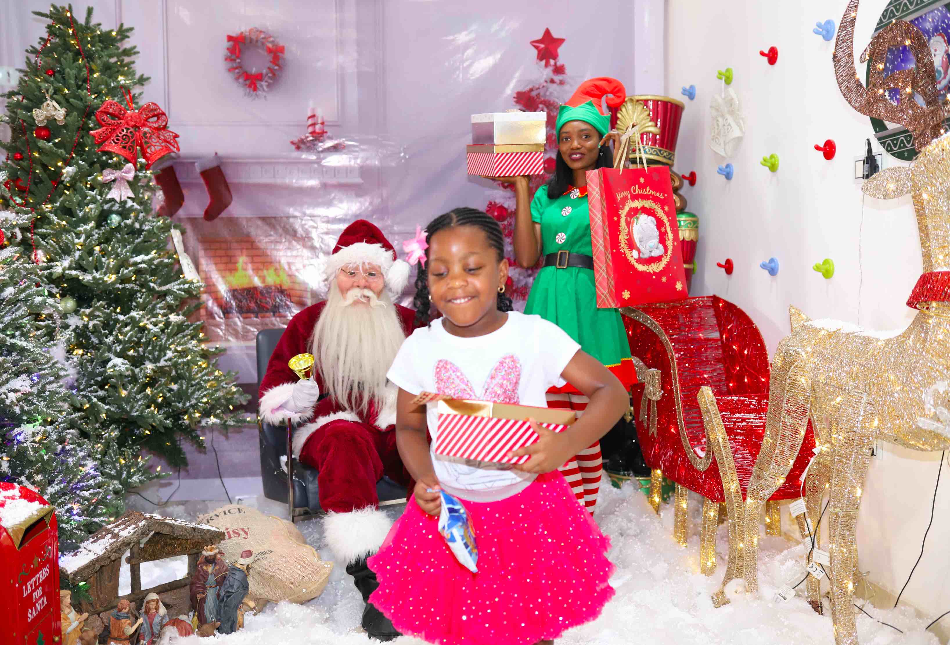 PinkDaisy Santa Grotto Gallery 2020