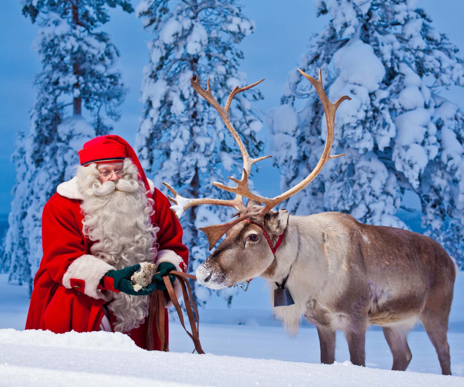 Pinkdaisy Santa Grotto